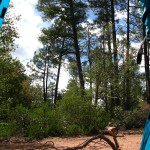 IMG_0095