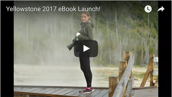 Screen Shot 2017-08-17 at 1.47.25 PM copy