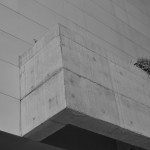 DSC_7059