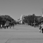 DSC_7108