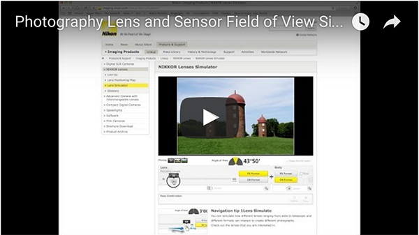 field of view simulator