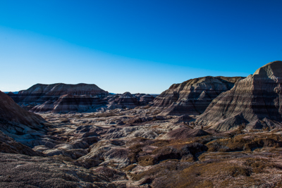 petrified forest fave