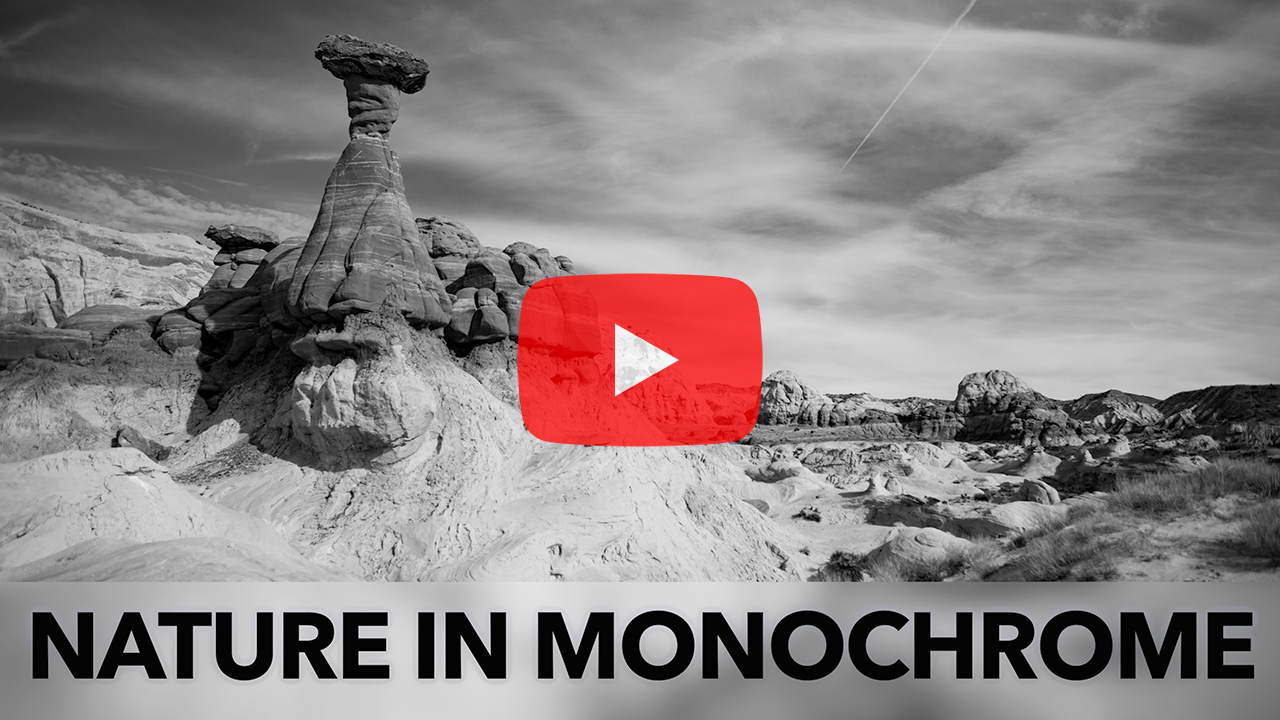 monochrome landscape book launch-thumb-sc