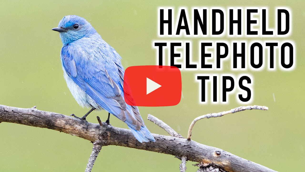telephoto handheld tips keh-thumb-sc